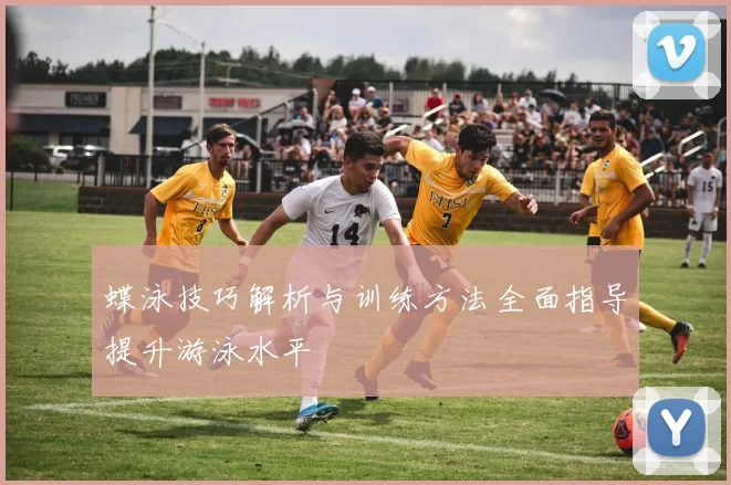 蝶泳技巧解析与训练方法全面指导提升游泳水平