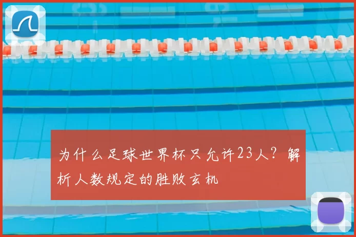 为什么足球世界杯只允许23人？解析人数规定的胜败玄机