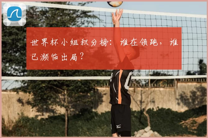 世界杯小组积分榜：谁在领跑，谁已濒临出局？