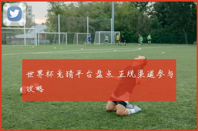 世界杯竞猜平台盘点 正规渠道参与攻略