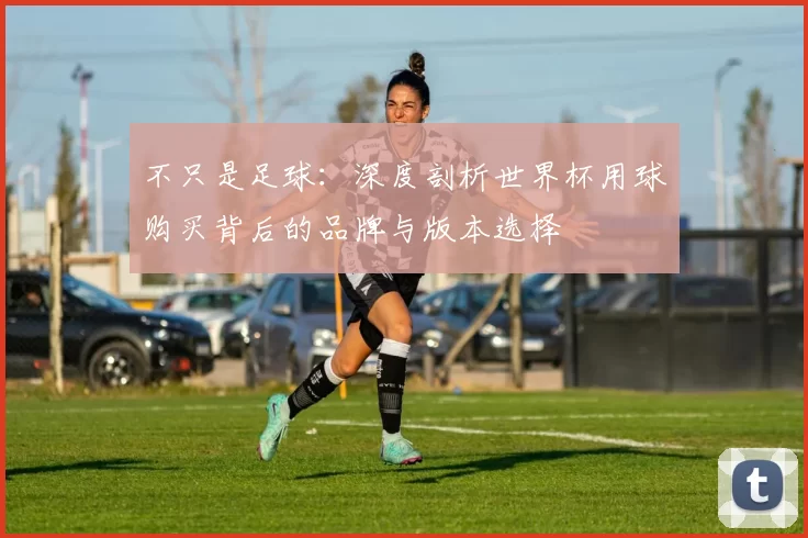 不只是足球:深度剖析世界杯用球购买背后的品牌与版本选择