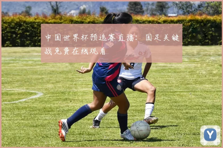中国世界杯预选赛直播:国足关键战免费在线观看