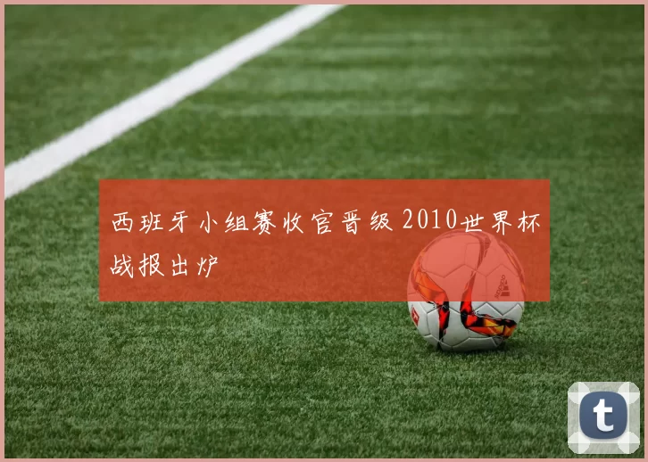 西班牙小组赛收官晋级 2010世界杯战报出炉