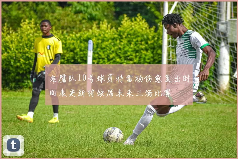 老鹰队10号球员特雷杨伤愈复出时间表更新将缺席未来三场比赛