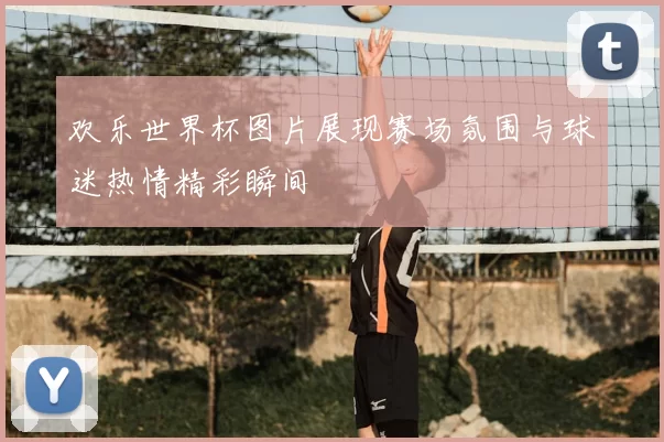 欢乐世界杯图片展现赛场氛围与球迷热情精彩瞬间