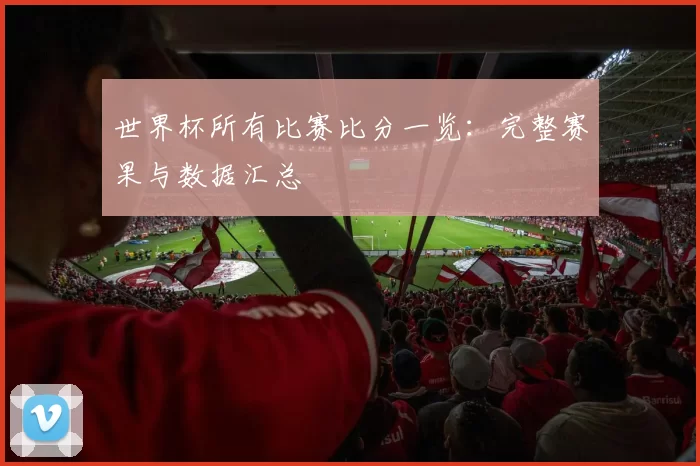 世界杯所有比赛比分一览：完整赛果与数据汇总
