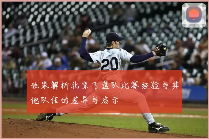 独家解析北京飞盘队比赛经验与其他队伍的差异与启示