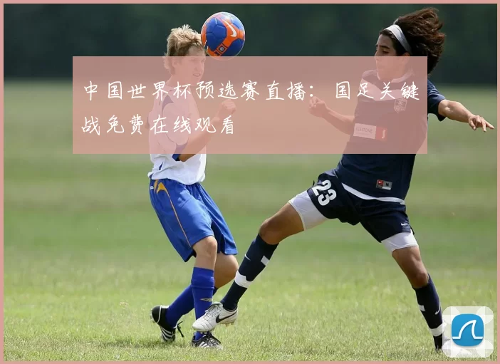 中国世界杯预选赛直播:国足关键战免费在线观看