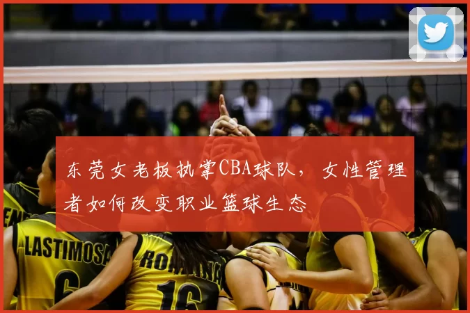 东莞女老板执掌CBA球队，女性管理者如何改变职业篮球生态