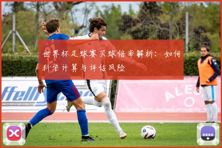 世界杯足球赛买球倍率解析：如何科学计算与评估风险