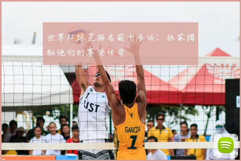 世界杯球星排名前十专访：独家揭秘他们的赛场传奇