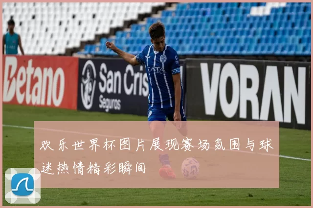 欢乐世界杯图片展现赛场氛围与球迷热情精彩瞬间