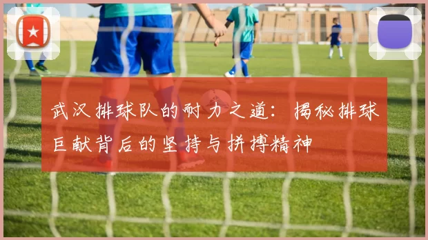 武汉排球队的耐力之道：揭秘排球巨献背后的坚持与拼搏精神