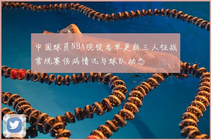中国球员NBA现役名单更新三人征战常规赛伤病情况与球队动态