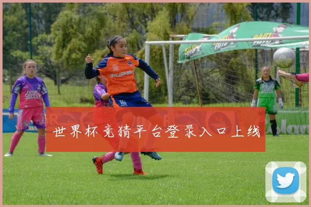 世界杯竞猜平台登录入口上线