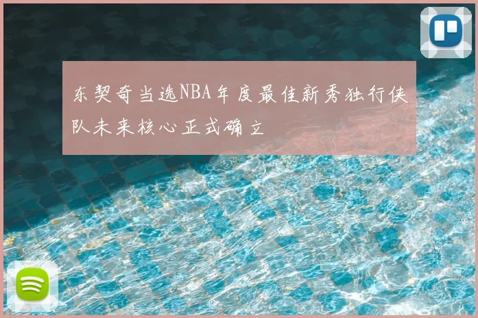 东契奇当选NBA年度最佳新秀独行侠队未来核心正式确立