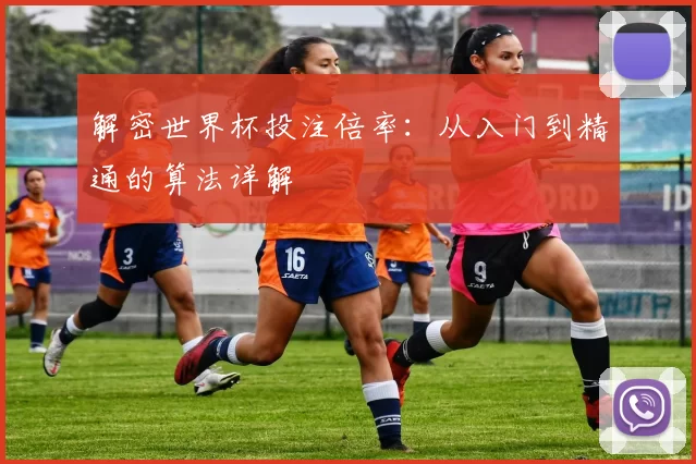 解密世界杯投注倍率:从入门到精通的算法详解