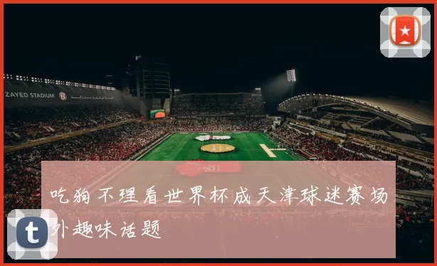 吃狗不理看世界杯成天津球迷赛场外趣味话题